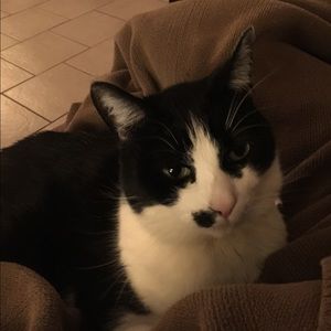 Meet your Posher, Casey